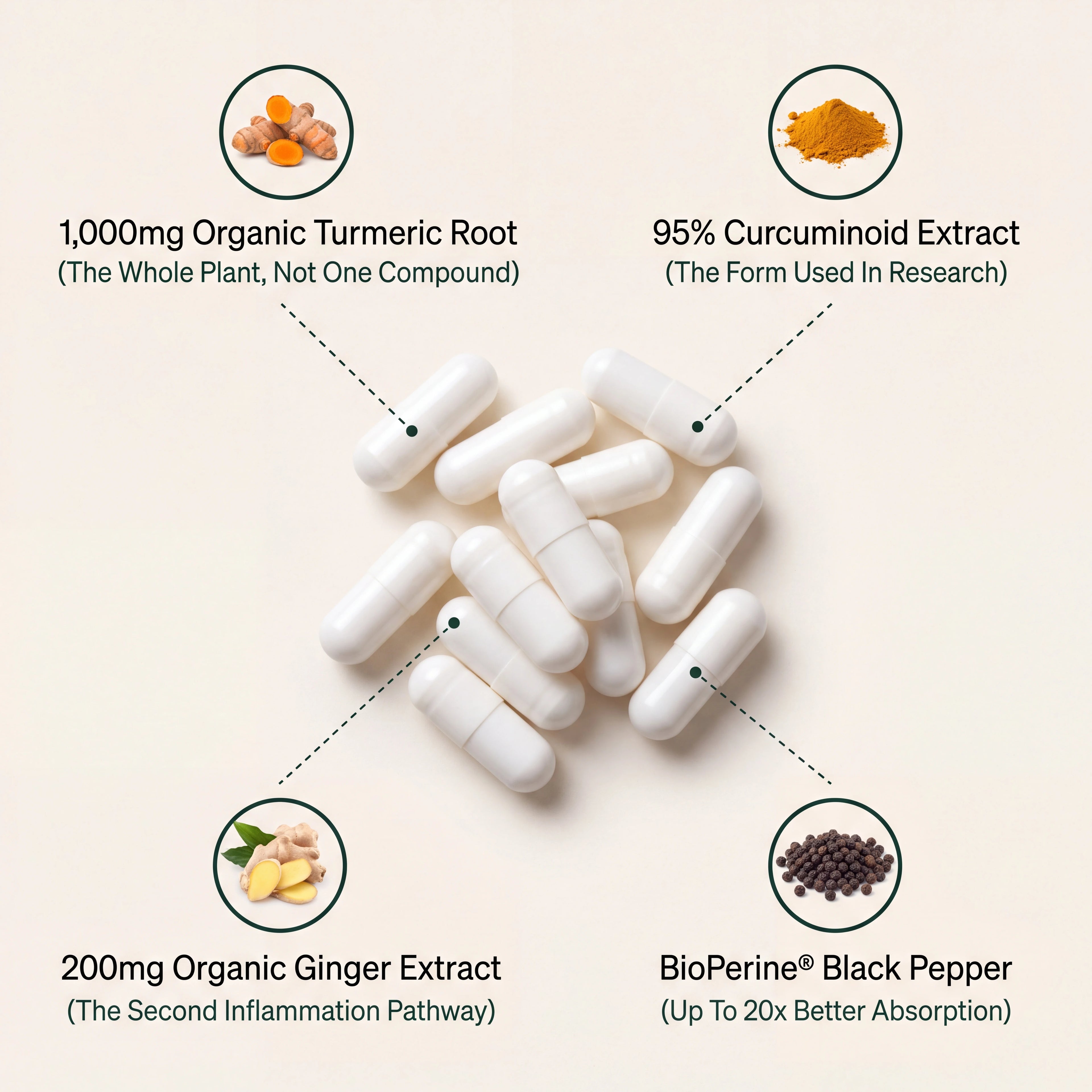 Golden Root Complex product gallery image 4
